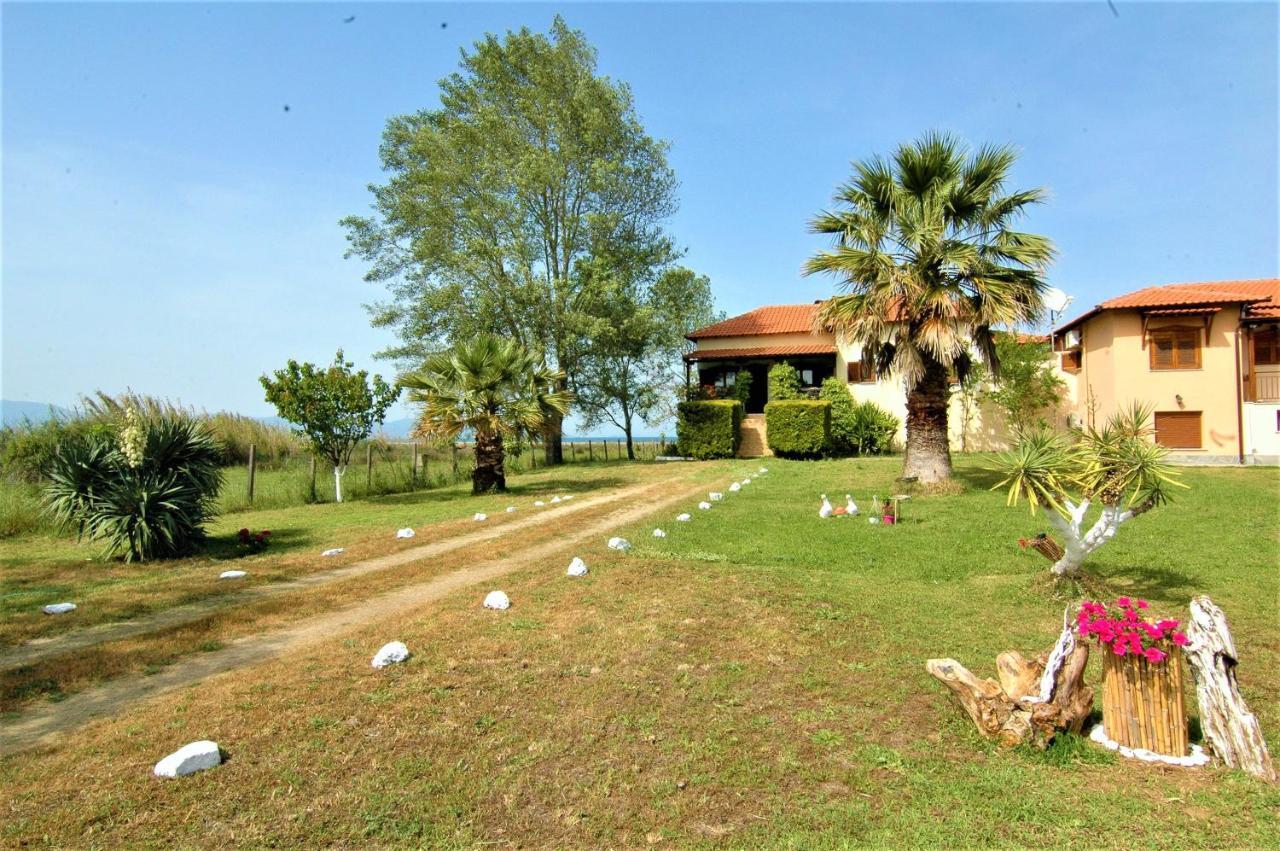 Seafront Oasis *